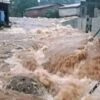 Inondations meurtrières à Conakry : ANGUCH établit un bilan provisoire de 15 morts