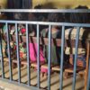 Conakry : plusieurs enfants de 5 à 12 ans interpellés lors d’une patrouille nocturne