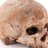 Bokar Biro : 130 ans après sa mort, la Guinée réclame son crâne à la France 